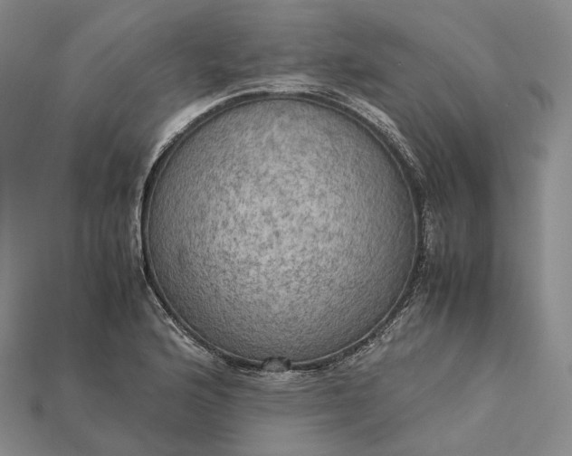 X0000115191176200911121816