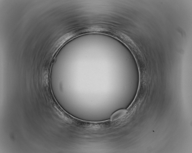 X0000115191177200911121816