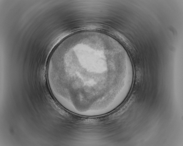 X0000115191178200911121816