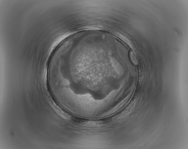X0000115191179200911121816