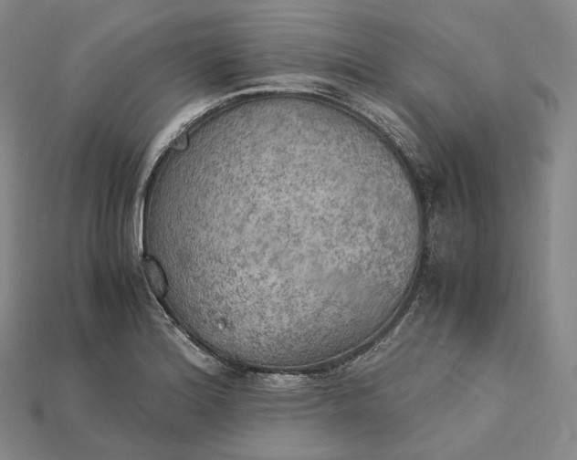 X0000115191180200911121816