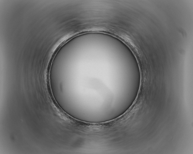 X0000115191181200911121816