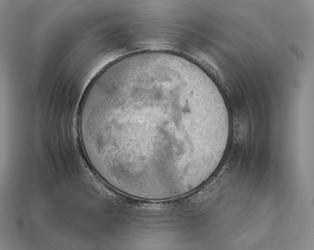 X0000115191182200911121816