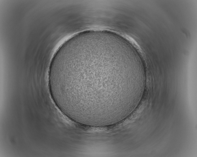 X0000115191183200911121816