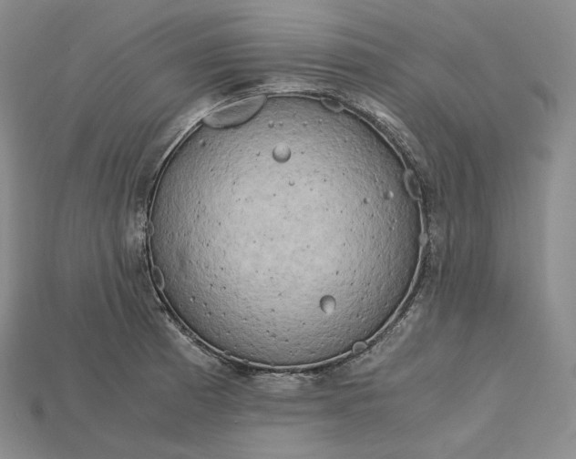 X0000115191185200911121816