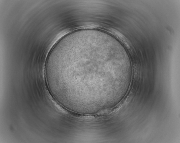 X0000115191186200911121816