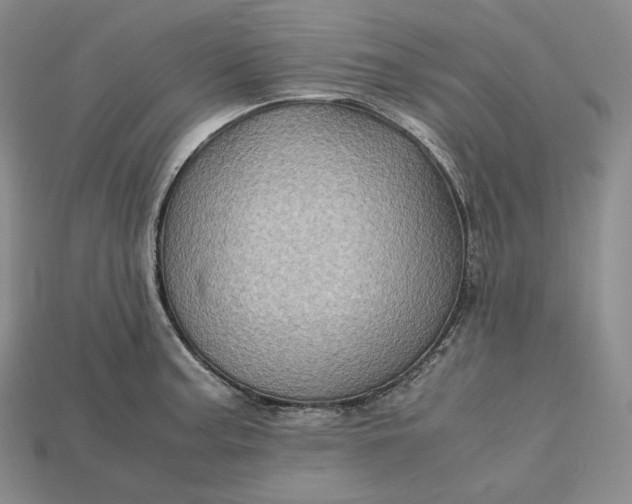 X0000115191187200911121816