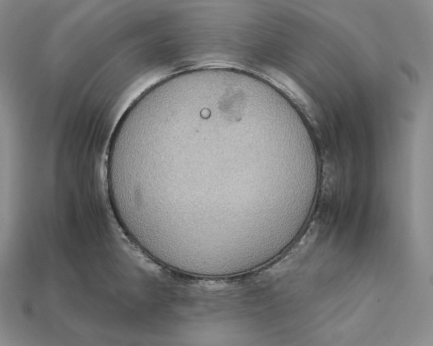 X0000115191190200911121816