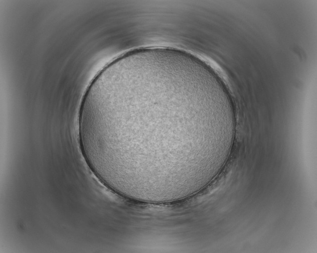 X0000115191191200911121816