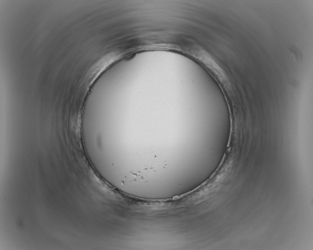 X0000115191193200911121816