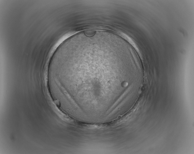 X0000115191195200911121816