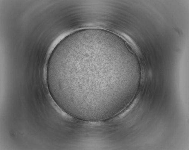 X0000115191196200911121816