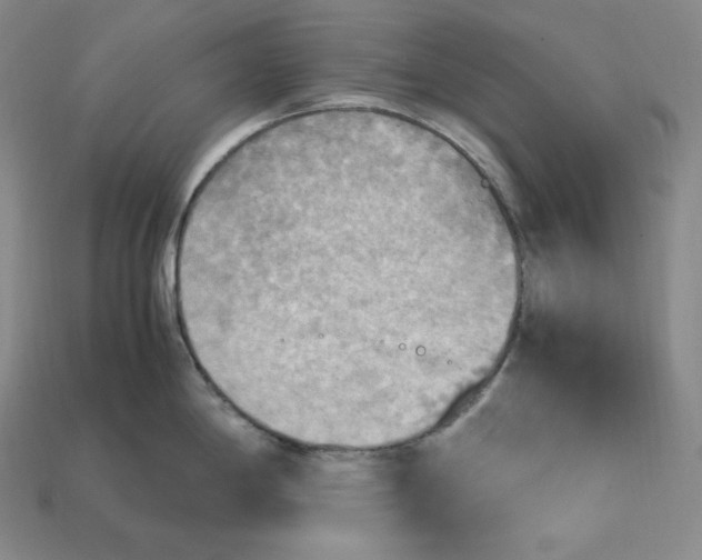X0000115191198200911121816