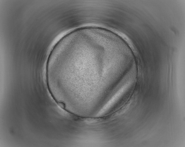 X0000115191199200911121815