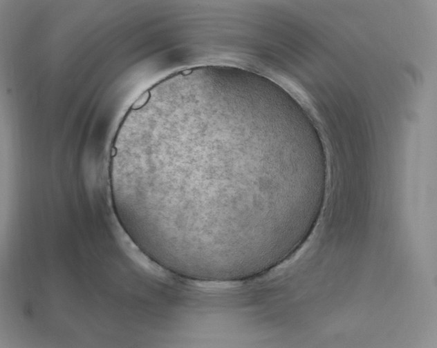 X0000115191200200911121815