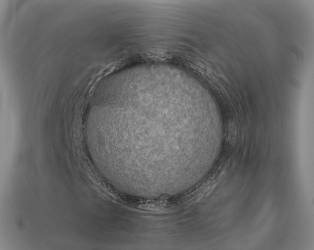 X0000115191201200911121815