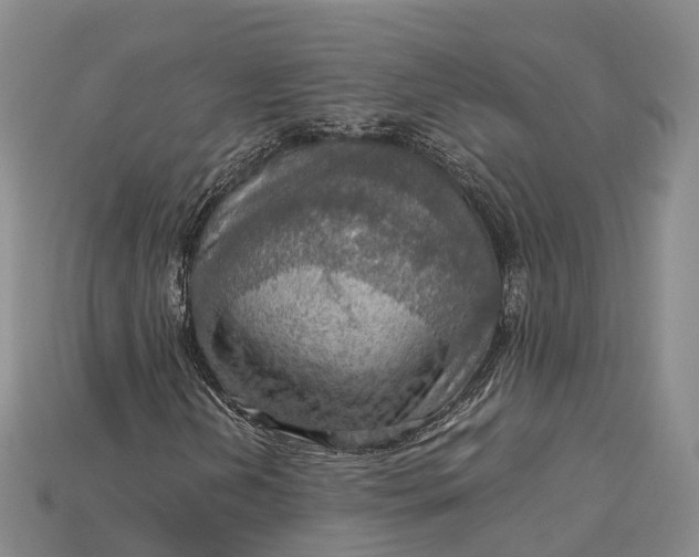 X0000115191202200911121815