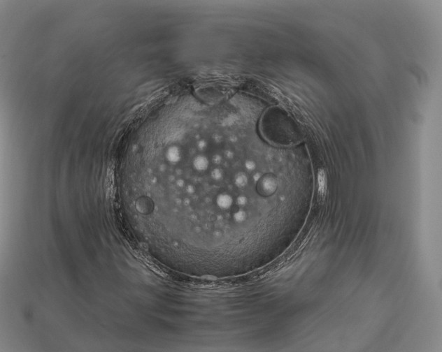 X0000115191203200911121815