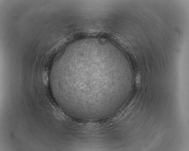 X0000115191204200911121815