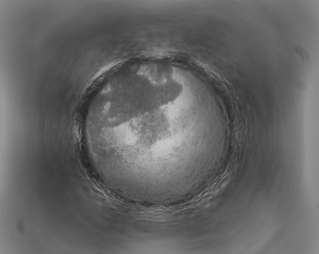 X0000115191206200911121815