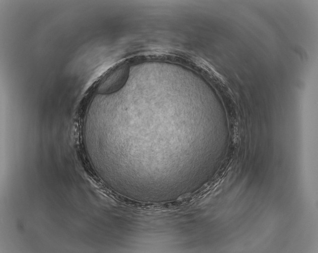 X0000115191208200911121815