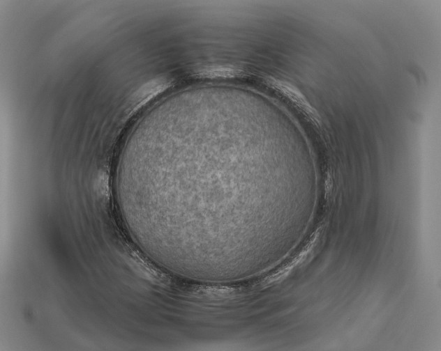 X0000115191209200911121815