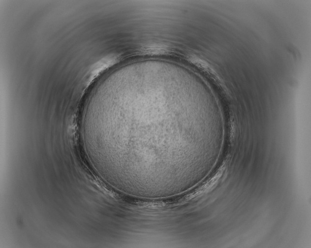 X0000115191210200911121815