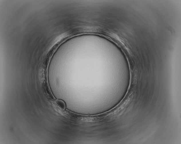 X0000115191211200911121815