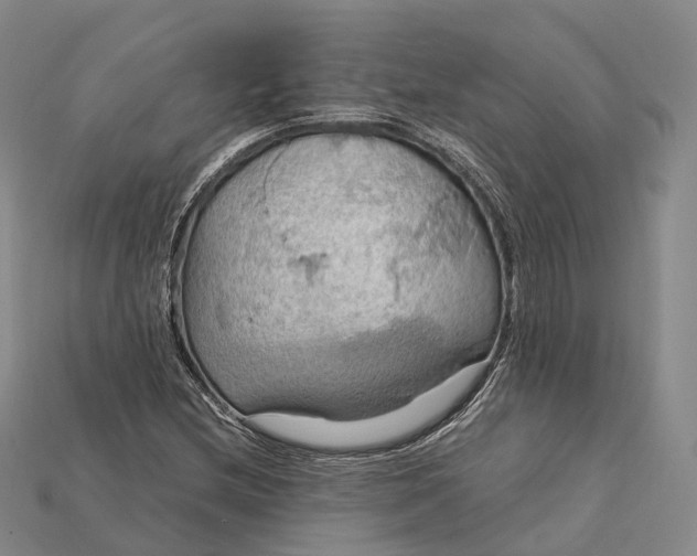 X0000115191212200911121815