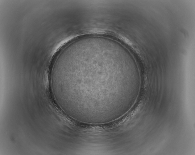 X0000115191214200911121815