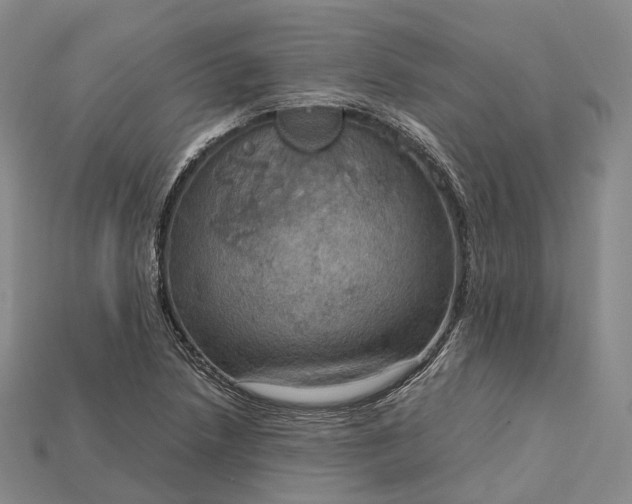 X0000115191218200911121815