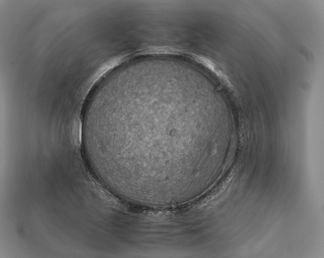 X0000115191221200911121815