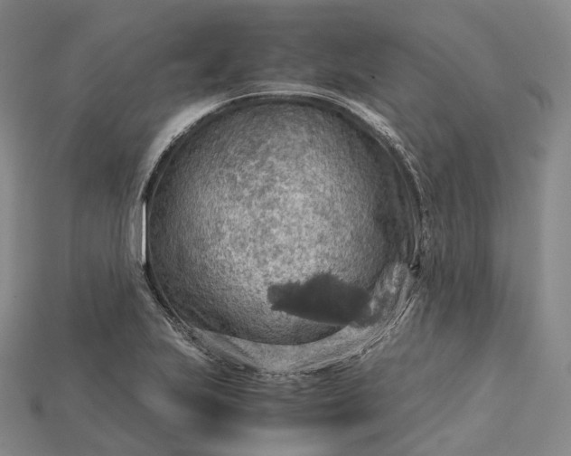 X0000115191223200911121815
