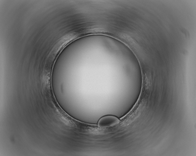 X0000115191225200911121815