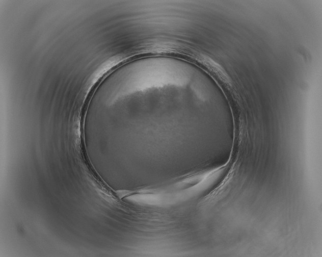X0000115191226200911121815
