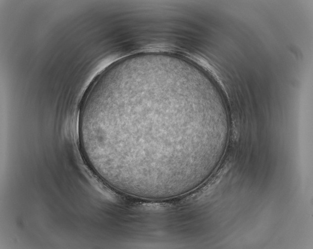 X0000115191227200911121815