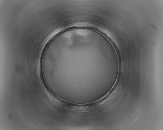 X0000115191229200911121815