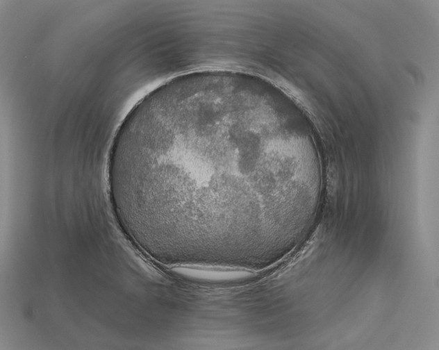 X0000115191230200911121815
