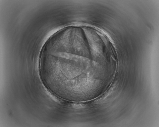 X0000115191231200911121815