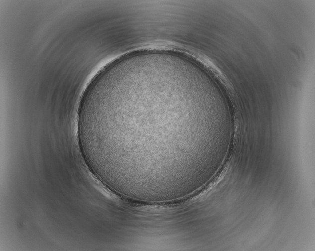 X0000115191232200911121815