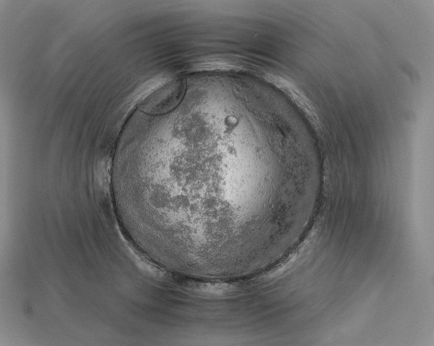 X0000115191233200911121815
