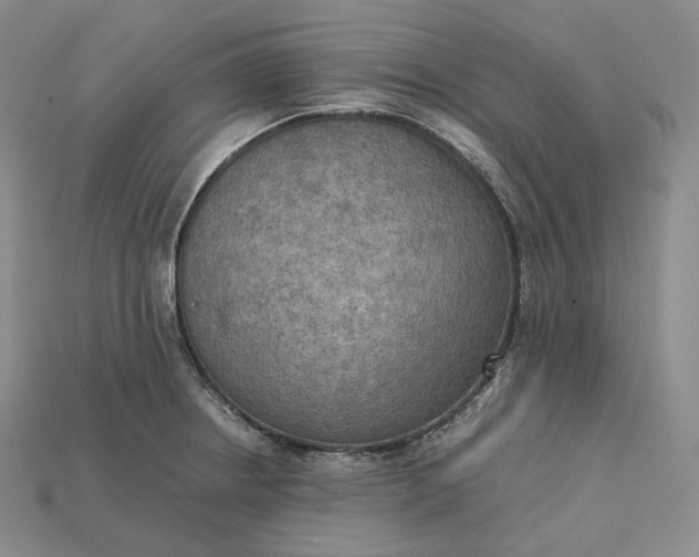X0000115191234200911121815