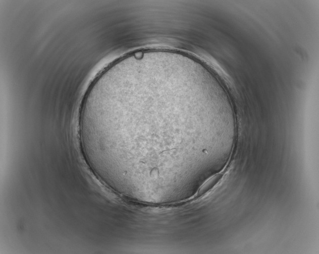 X0000115191240200911121815