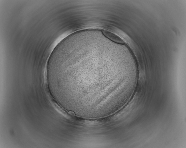 X0000115191242200911121815