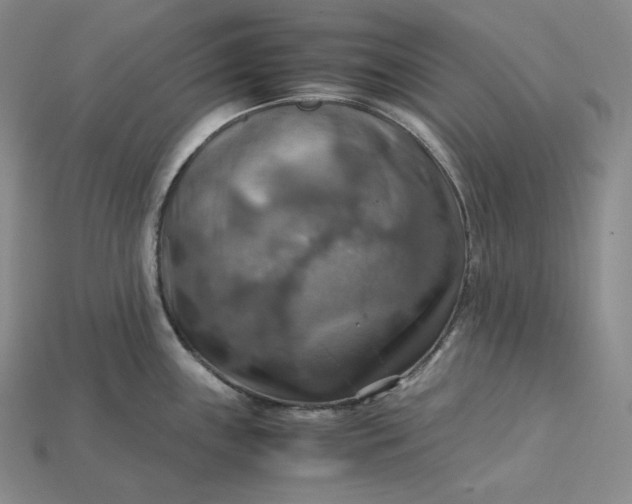 X0000115191243200911121815