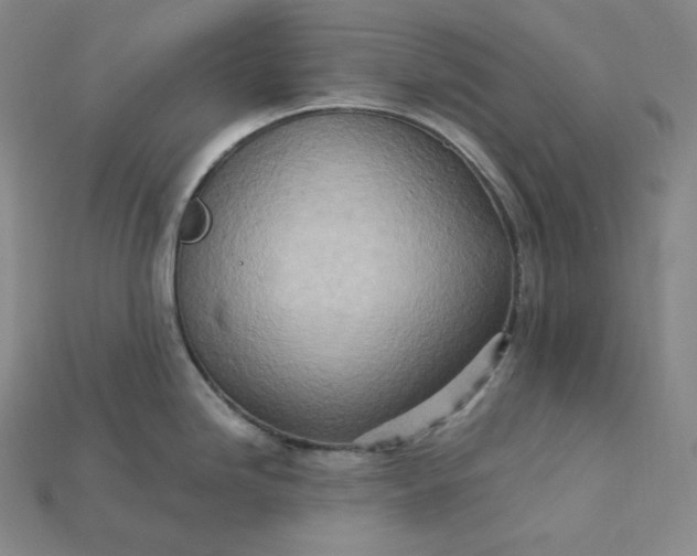 X0000115191246200911121815