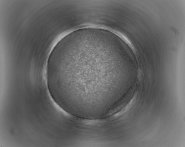 X0000115191247200911121815