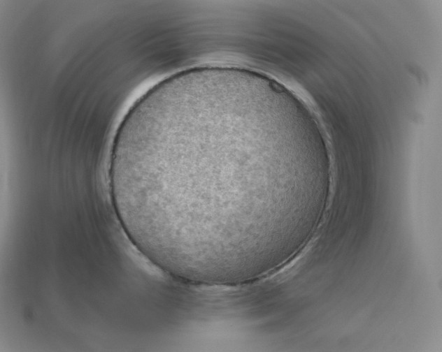 X0000115191248200911121815