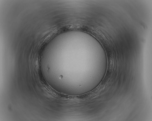 X0000115191250200911121815
