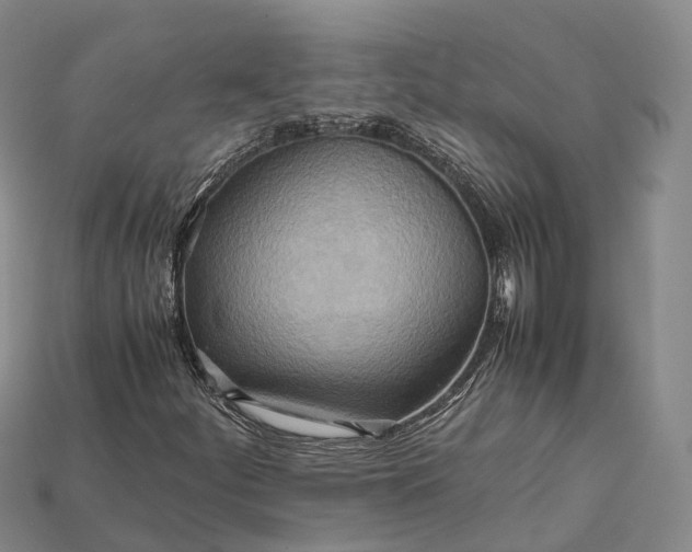 X0000115191252200911121815